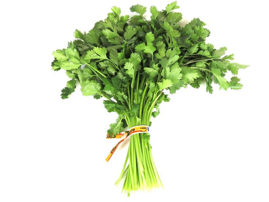 Cilantro