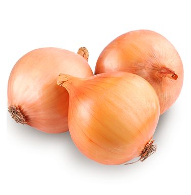 spanish onion (50lbs)