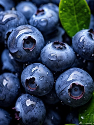 BLUEBERRIES